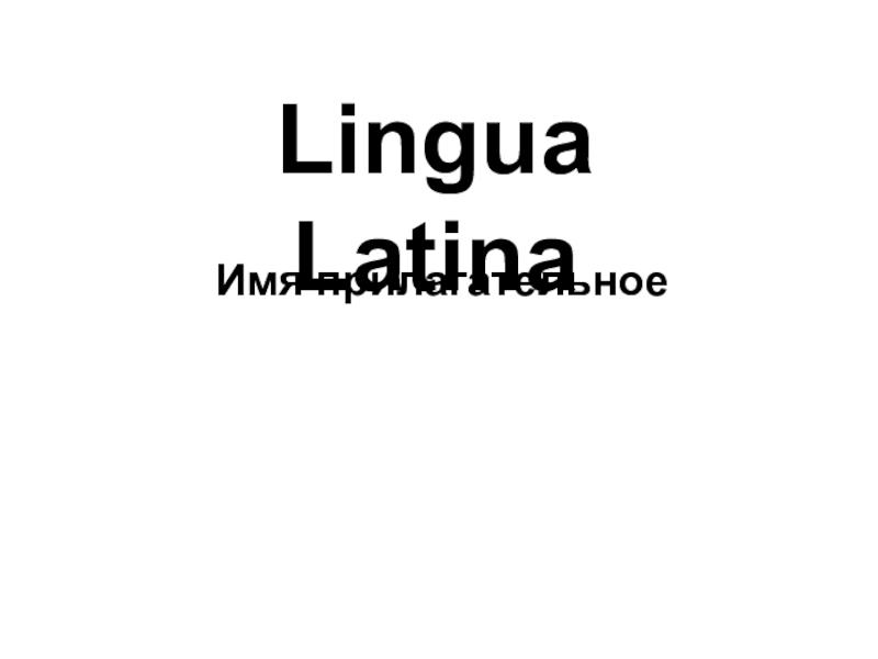 Lingua Latina
Имя прилагательное