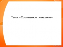Тема: Социальное поведение