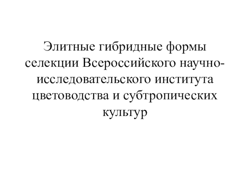 Презентация Элитные гибридные формы селекции Всероссийского научно-исследовательского