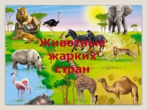 Животные
жарких
стран
