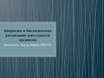 Биоритмы и биологическая ритмизация деятельности организма