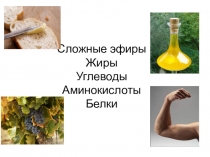 Сложные эфиры Жиры Углеводы Аминокислоты Белки