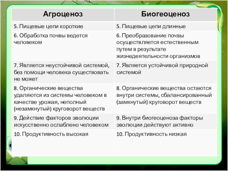 Сравнение естественных и искусственных экосистем презентация