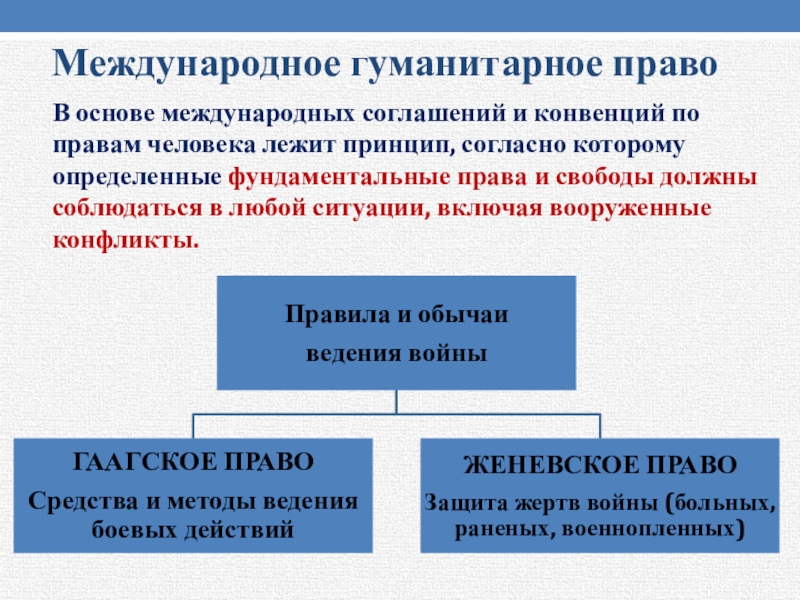 Презентация по теме международная защита прав человека 10 класс