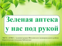 Зеленая аптека
у нас под рукой
МБУК ЦМБС Администрации Шатковского