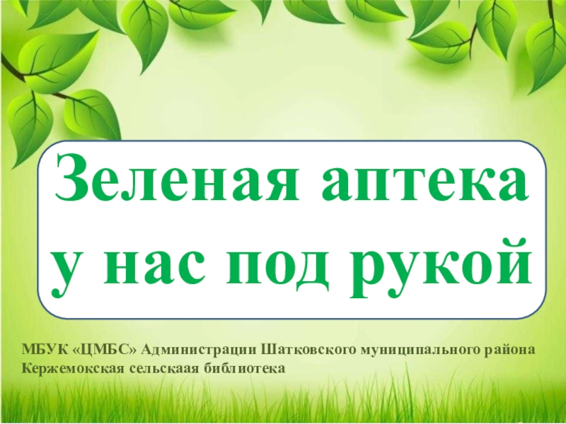 Зеленая аптека
у нас под рукой
МБУК ЦМБС Администрации Шатковского