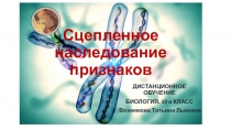 Сцепленное наследование признаков