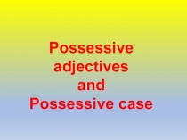 Possessive adjectives
and
Possessive case