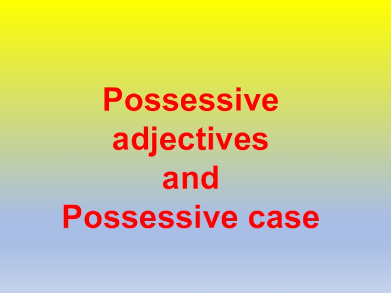 Possessive adjectives
and
Possessive case