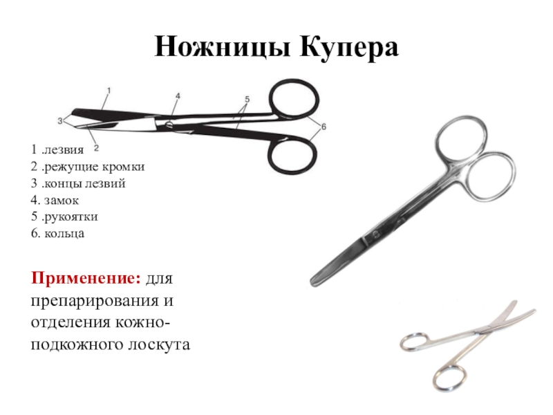 Хирургические ножницы рисунок