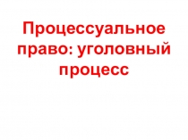 Процессуальное право: уголовный процесс