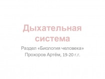 Дыхательная система
