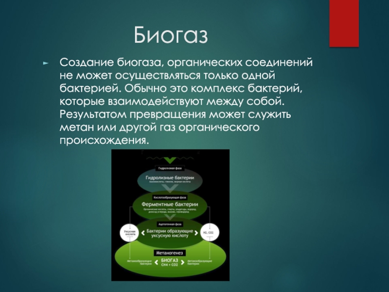 Органические газы. Биогаз презентация. Состав биогаза. Биогаз бактерии.