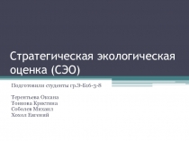 Стратегическая экологическая оценка (СЭО)