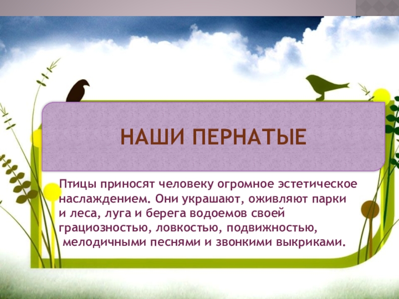 Презентация НАШИ ПЕРНАТЫЕ
Птицы приносят человеку огромное эстетическое
наслаждением. Они