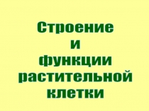 Строение
и
функции
растительной
клетки