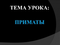ПРИМАТЫ