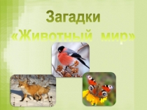 Загадки
Животный мир