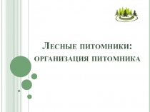 Лесные питомники: организация питомника