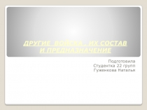 ДРУГИЕ ВОЙСКА, ИХ СОСТАВ И ПРЕДНАЗНАЧЕНИЕ