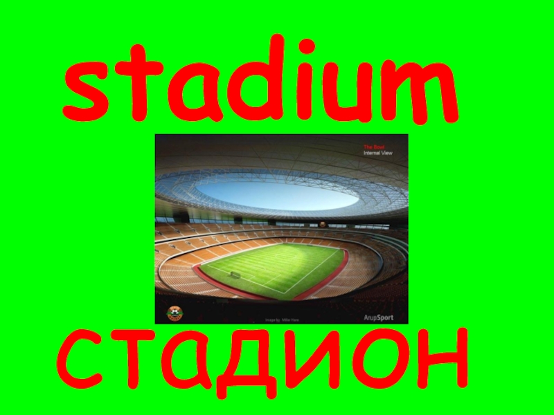 stadium
стадион