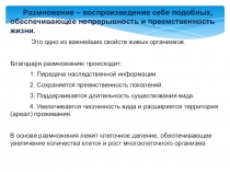 Размножение – воспроизведение себе подобных, обеспечивающее непрерывность и