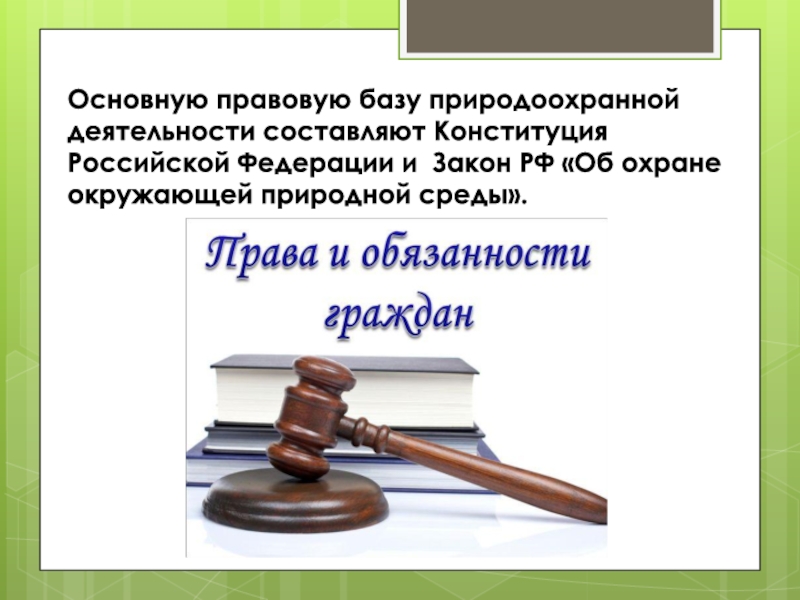 Участие граждан в природоохранительной деятельности презентация