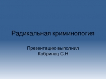 Радикальная криминология