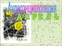 Аудиоэнциклопедия