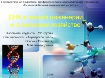 ДНК в генной инженерии и в сельском хозяйстве