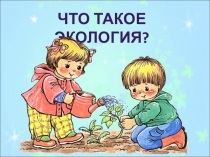 Что такое экология?