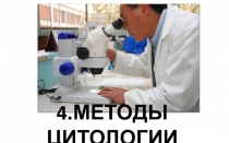 4.МЕТОДЫ ЦИТОЛОГИИ