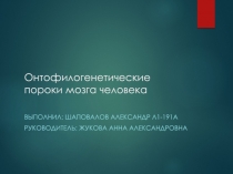 Онтофилогенетические пороки мозга человека