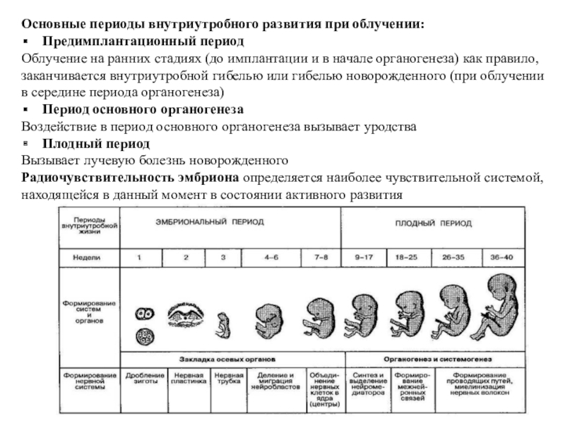 Начальный период развития человека. Период имплантации внутриутробного развития. Периоды внутриутробного развития антенатальный. Схема внутриутробного развития плода. Периоды внутриутробного развития плода таблица.