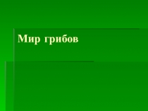 Мир грибов
