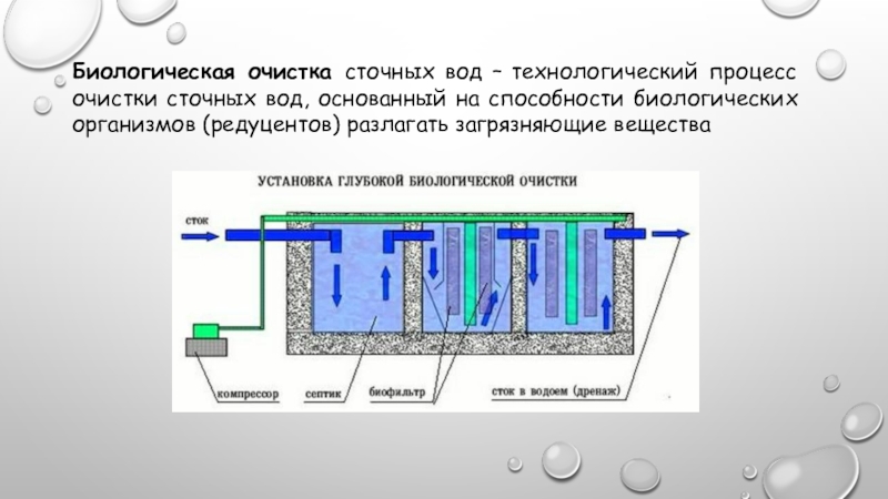 Биологическая очистка сточных вод. 'Очистка воды' – Технологический анекдот.