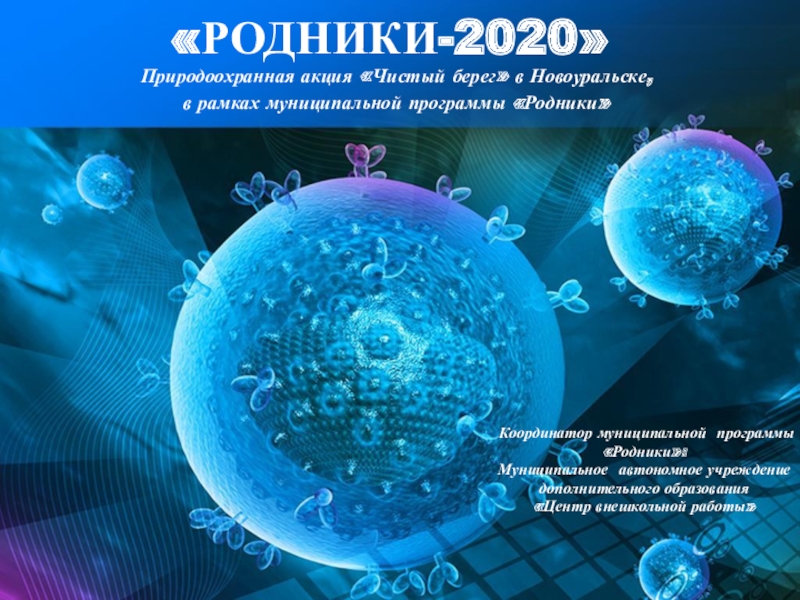 РОДНИКИ-2020