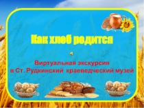 Как хлеб родится
Виртуальная экскурсия
в Ст. Рудкинский краеведческий музей