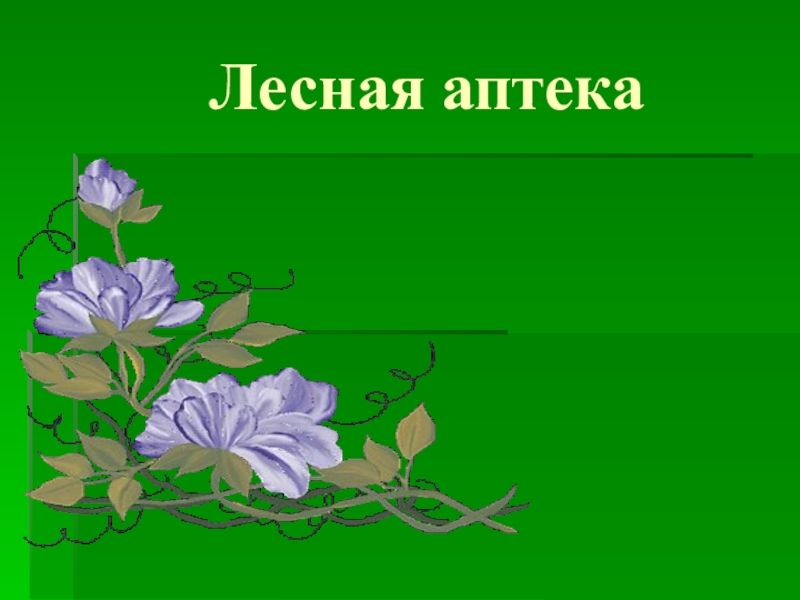 Лесная аптека