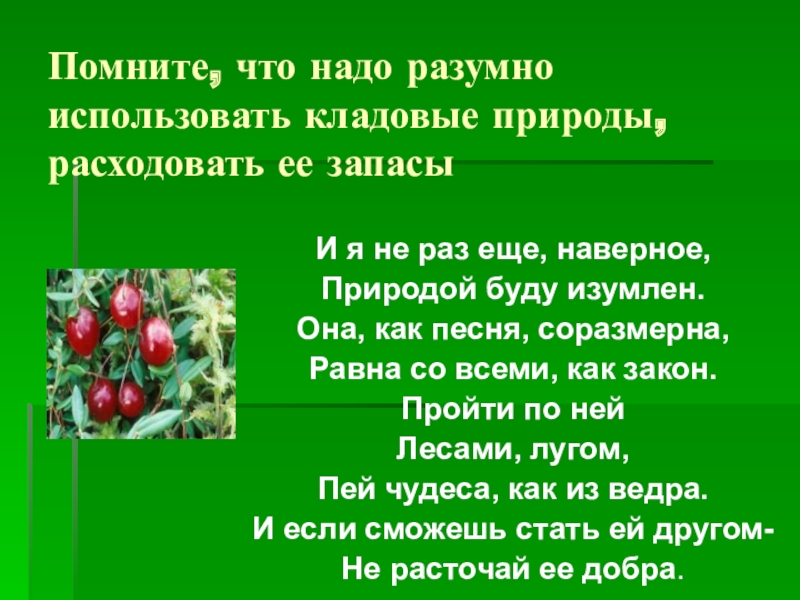 Картинка кладовая природы