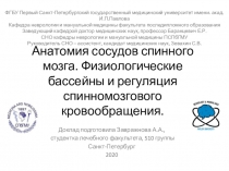 Анатомия сосудов спинного мозга. Физиологические бассейны и регуляция