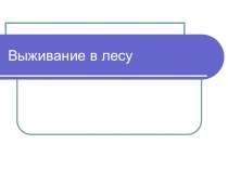 Выживание в лесу