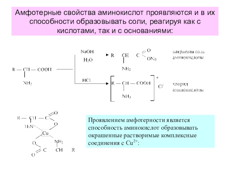 Аминоуксусная кислота свойства. Реакции доказывающие Амфотерность аланина. Амфотерные свойства аминокислот реакции. Амфотерные свойства аминокислот. Свойства аминокислот.