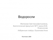 Водоросли