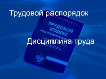 Трудовой распорядок
Дисциплина труда