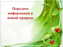 Передача информации в живой природе