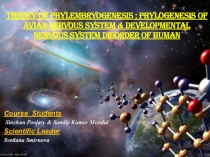 Theory of P hylembryogenesis ; Phylogenesis of Avian Nervous System &