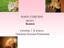 МАОУ СОШ №92
проект:
Кошки
ученица 1 Б класса Гришина Ксения Романовна
