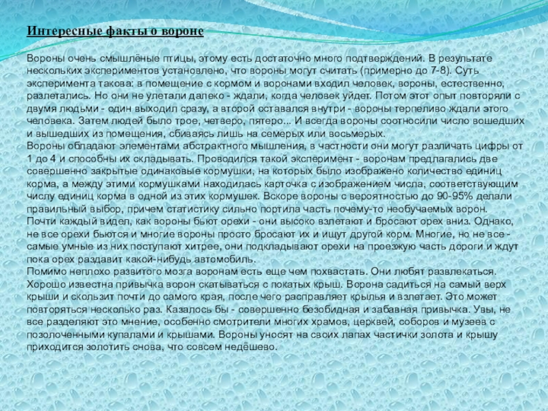 В результате нескольких. Интересные факты о ВОРАНЕ. Интересные факты о Вароне. Интересные факты о вороне. Итересные факта о вороне.