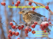 Наши пернатые друзья.
Подготовила воспитатель ГПД
Толстолуцкая Т.А